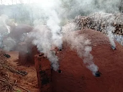 Polícia Ambiental fecha carvoaria ilegal e aplica multa de R$ 3,5 mil