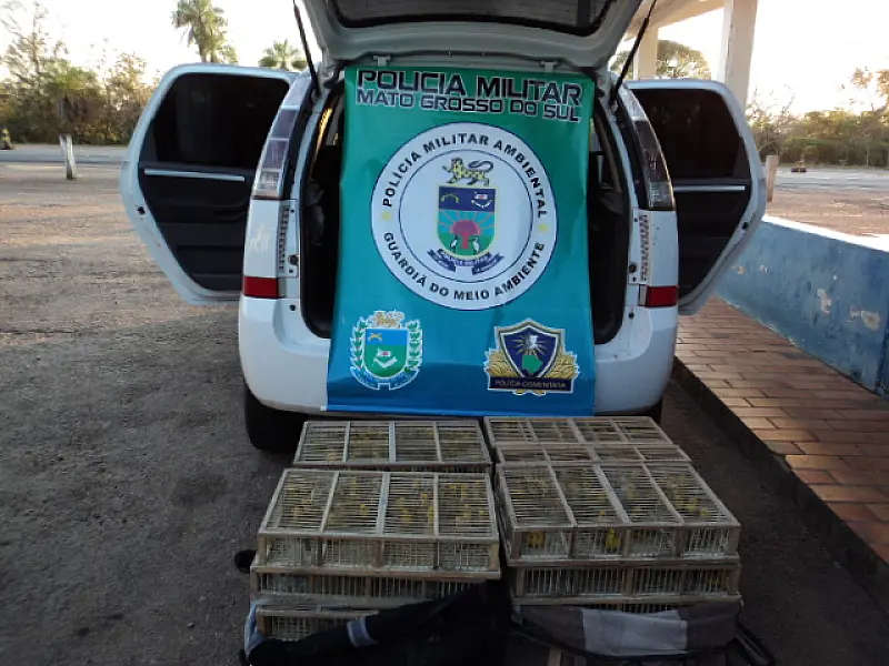Taxista e passageiro são presos por tráfico de canários