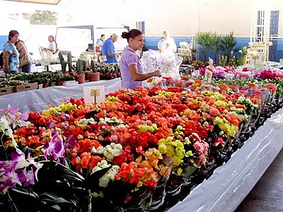 Feira de Holambra segue na Capital até o dia 16 deste mês