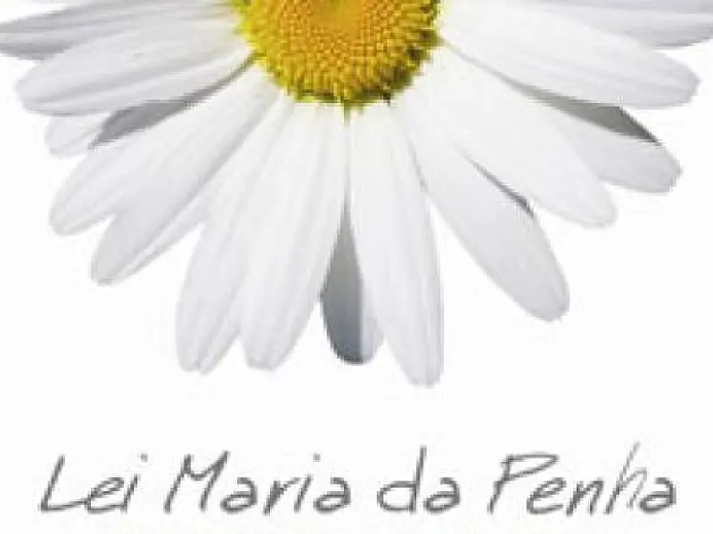 Lei Maria da Penha completa sete anos nesta quarta