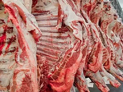 Com alta de quase 30% nas exportações de carnes, MS caminha para ser um Estado multiproteína
