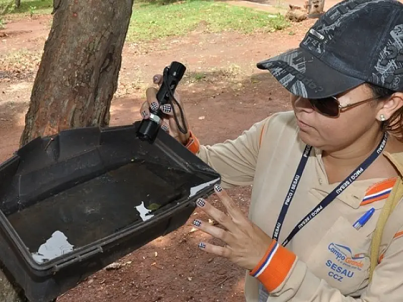 Levantamento aponta aumento na infestação do Aedes e coloca 27 áreas em Estado de Risco