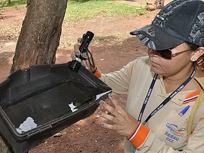 Levantamento aponta aumento na infestação do Aedes e coloca 27 áreas em Estado de Risco