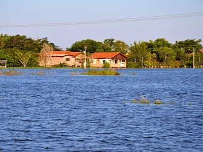 Rio Ivinhema sobe 2,5 metros e deixa cerca de 40 casas isoladas