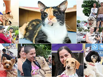 Compromisso Municipal: A evolução do Bem-Estar Animal em Campo Grande e perspectivas para 2024