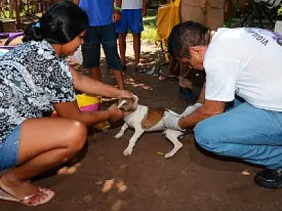 Prefeitura de Corumbá dá início a campanha de vacinação contra raiva animal nesta terça