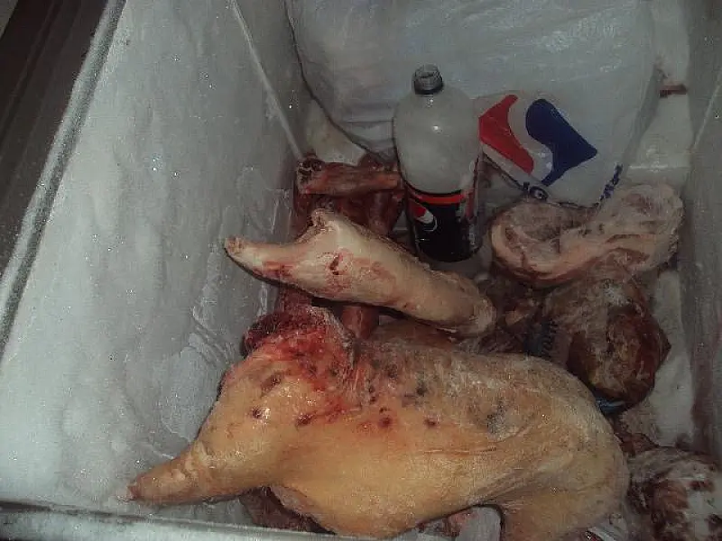 PMA prende quatro caçadores com armas e animais abatidos em Eldorado