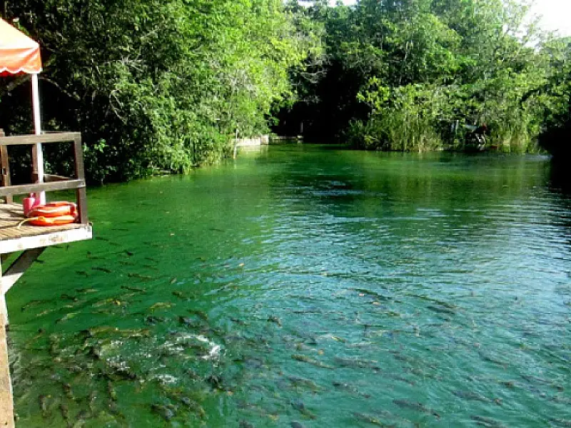 Turismo estadual movimentou R$ 86,7 milhões em 2021, aponta levantamento do IBGE
