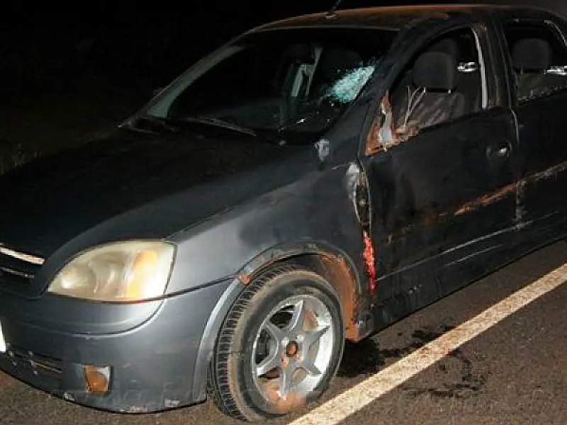 Um motociclista colide com vaca e outro tem perna decepada na MS-274