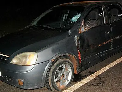 Um motociclista colide com vaca e outro tem perna decepada na MS-274