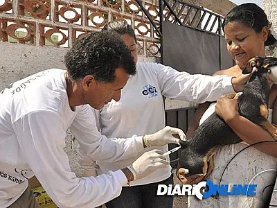 Vacinação contra a raiva entra na fase final em Corumbá