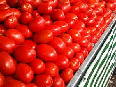 Tomate é responsável pela alta do preço da cesta básica e tem variação de 9,77%