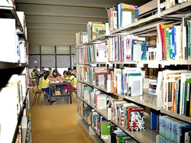 Isaías Paim apresenta novo acervo de livros