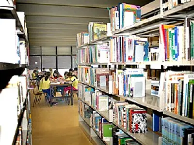 Isaías Paim apresenta novo acervo de livros