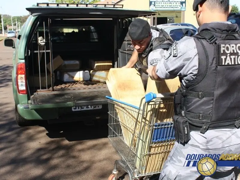 Polícia apreende 335 kg de maconha escondida em canavial