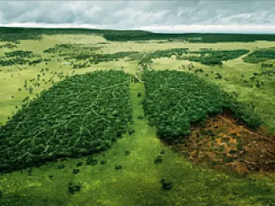 Sindicato de Rural Ponta Porã vai debater Novo Código Florestal
