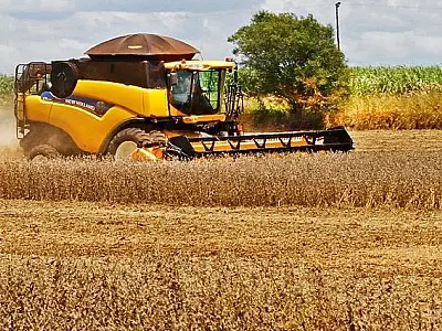 Soja, carne e minério de ferro puxam o aumento nas exportações do MS
