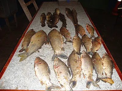 PMA prende dois pescadores no rio Brilhante por pescado ilegal