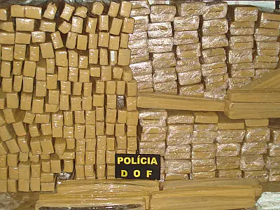 DOF apreende 650 kg de maconha em caminhão e também veículo como "batedor"