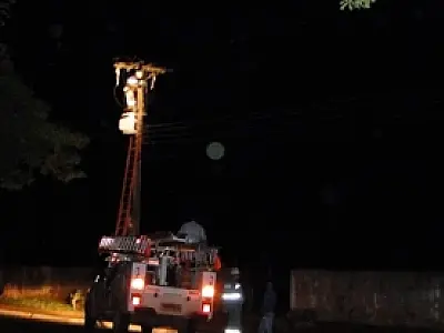 Pomba bate em transformador e deixa São Gabriel sem energia por três horas