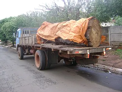 PMA autua marceneiro por transportar madeira ilegal