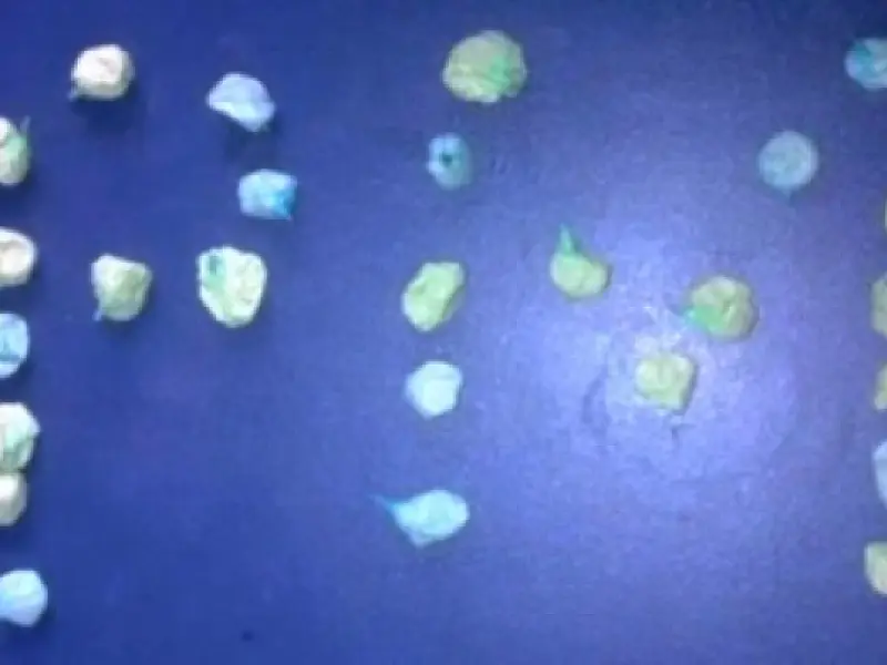 PM de Nova Andradina apreende adolescente por tráfico de drogas