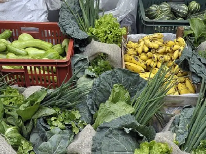Agricultura familiar tem até o dia 8 para aderir ao programa da merenda escolar