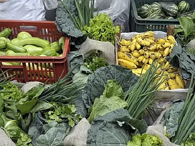 Agricultura familiar tem até o dia 8 para aderir ao programa da merenda escolar