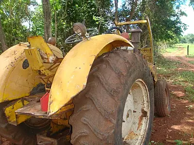 PMA flagra desmatamento de mais de 1,5 hectares; Proprietária é multada em R$ 10 mil