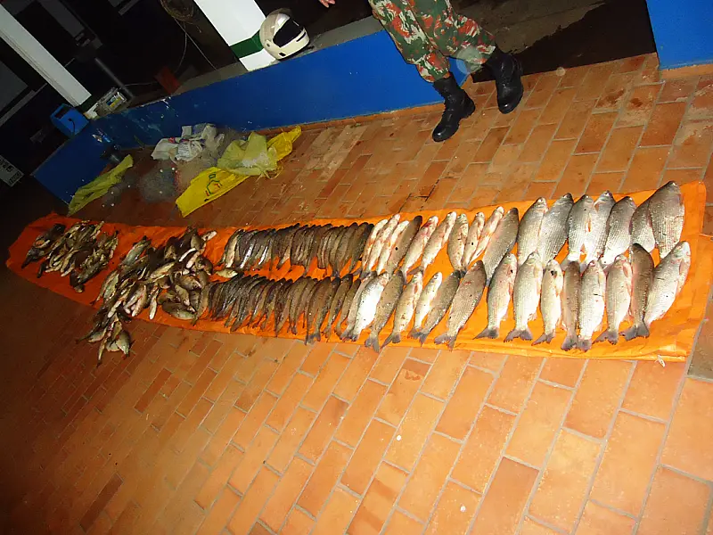 PMA autua pescador em R$ 7,2 mil com 112 kg de pescado ilegal