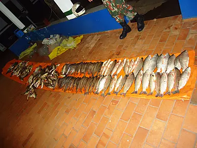 PMA autua pescador em R$ 7,2 mil com 112 kg de pescado ilegal