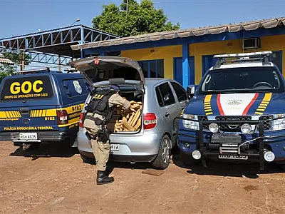 PRF apreende 320 quilos de maconha em Ponta Porã
