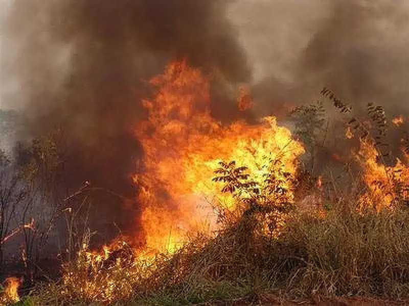 Ibama antecipa período crítico de queimadas em Mato Grosso do Sul