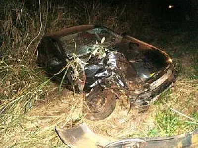 Condutor sofre acidente na BR-267 ao desviar de tamanduá