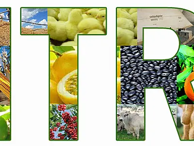 Imposto Territorial Rural vence dia 30 de setembro
