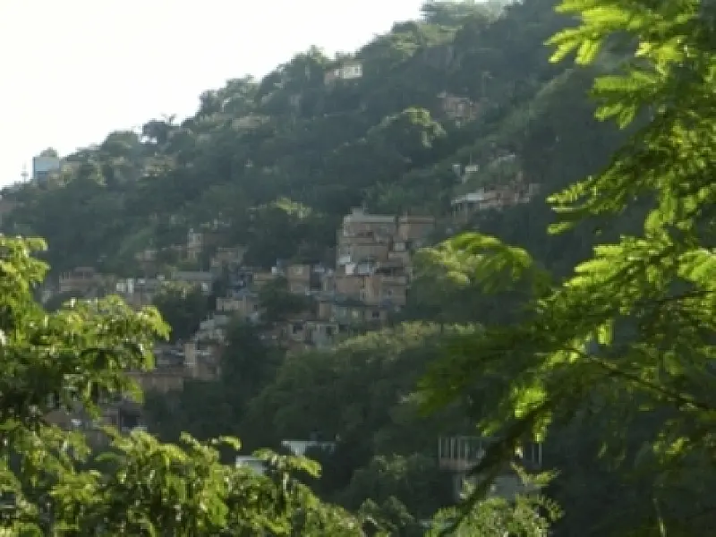 Área verde por habitante cai 26% no Rio de Janeiro