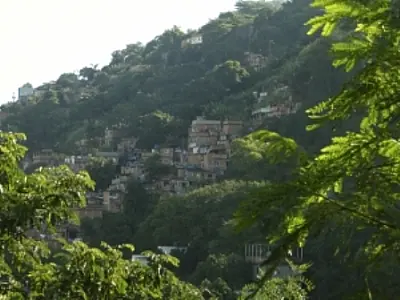 Área verde por habitante cai 26% no Rio de Janeiro