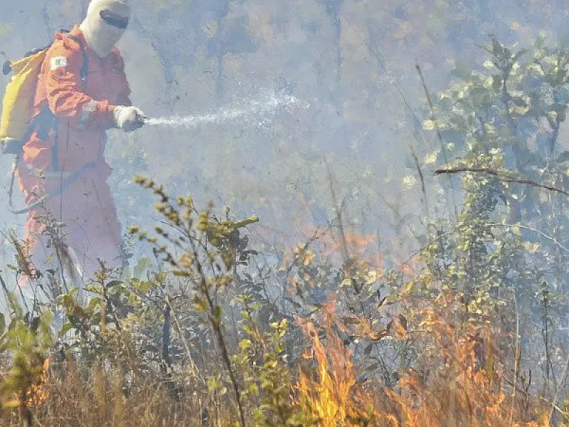 Decretado estado de emergência ambiental em MS