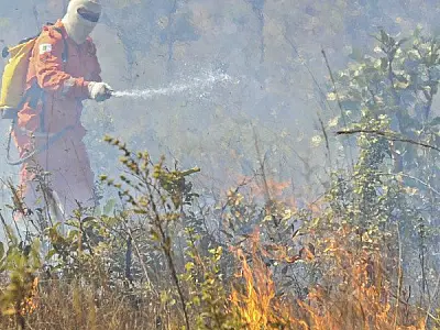 Decretado estado de emergência ambiental em MS