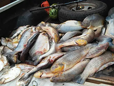 PMA prende dois assentados por pescar durante a piracema