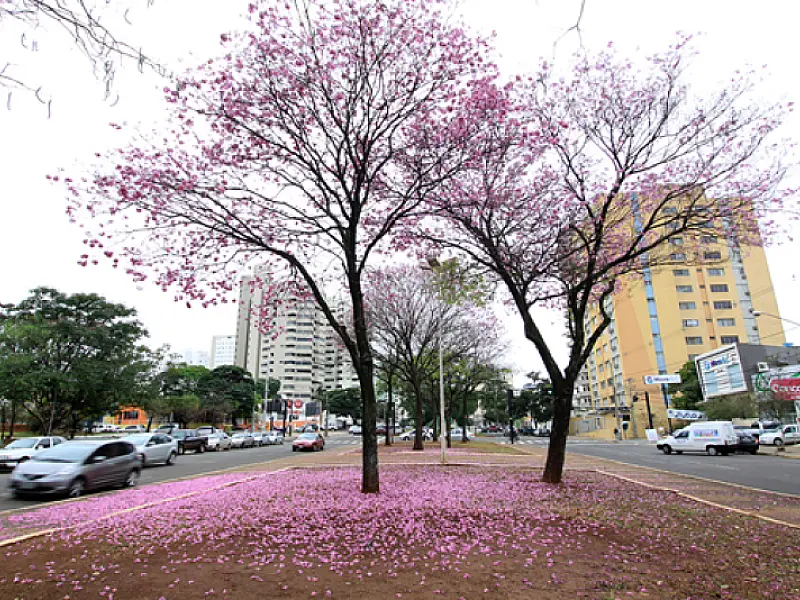 Avenida Afonso Pena receberá R$ 7,9 milhões do Governo para restauração