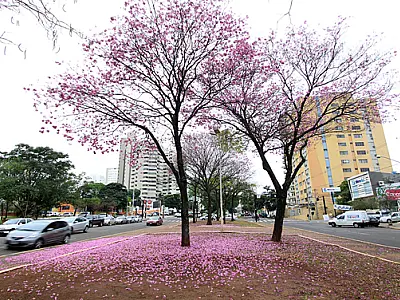 Avenida Afonso Pena receberá R$ 7,9 milhões do Governo para restauração