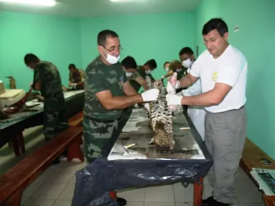 PMA iniciou hoje curso de taxidermia em Dourados para policiais de 11 Estados
