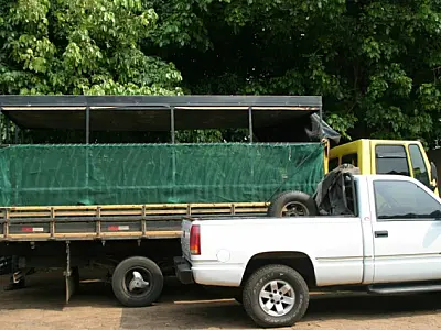 Caminhão de mudas é apreendido com 780 quilos de maconha