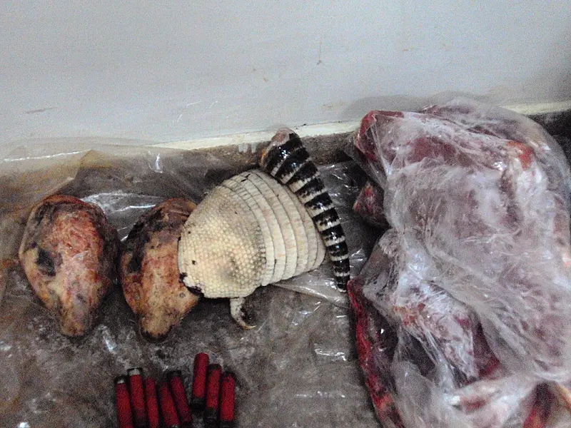 Dois assentados são presos com vários animais abatidos