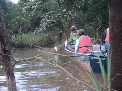 Flagrados retirando peixes de redes de pesca, três pescadores são presos