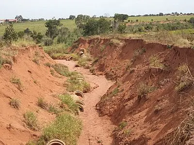 PMA autua irmãos pecuaristas por erosão em propriedade