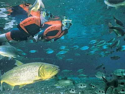 Referência nacional, Bonito tem melhor resultado no ecoturismo desde 2016