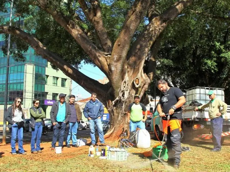 TÉCNICOS DA SEMADUR RECEBEM CAPACITAÇÃO PARA TRATAMENTO DAS ÁRVORES RARAS E IMUNES AO CORTE
