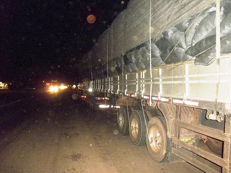 PMA autua carvoaria de MT por transporte ilegal de carvão